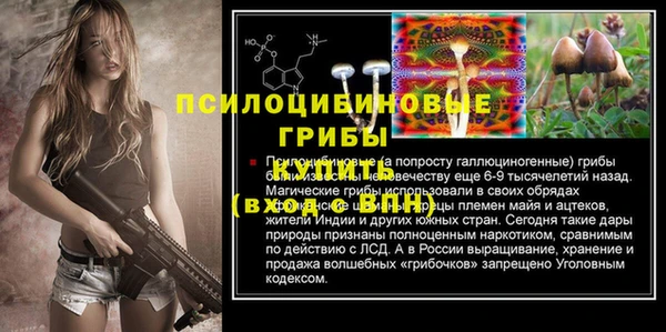 молекула духа Нязепетровск