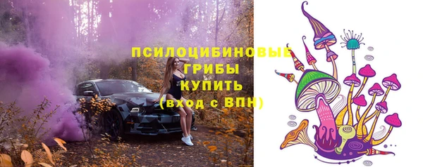 герыч Богородск