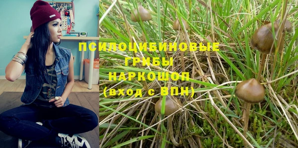 герыч Богородск
