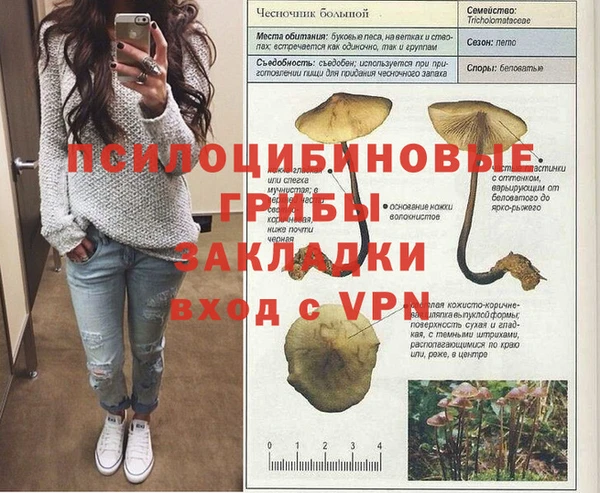 ешки Бородино