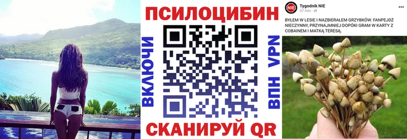 Галлюциногенные грибы Cubensis  blacksprut маркетплейс  Севск 