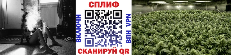Каннабис Bruce Banner  Севск 